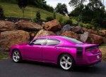 SRT Three quarter on the rocks 3 Danko Lights 3 sharp SRT Pink.jpg